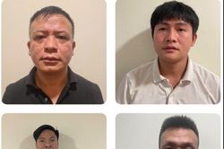 Truy tố 17 bị can trong đường dây buôn lậu hơn 425 tấn cau khô