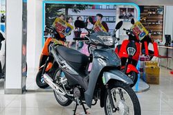 Bảng giá Honda Wave Alpha mới nhất tháng 6/2026, chênh tiền triệu