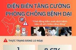 (Infographic) Điện Biên tăng cường phòng chống bệnh dại
