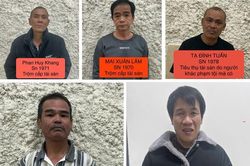 Triệt phá nhóm 'cẩu tặc' chuyên nghiệp, trộm hơn 120 con chó trong 5 tháng
