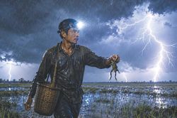 Trong màn mưa mùa hạ…