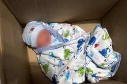 Bé sơ sinh bị bỏ trong thùng giấy trước cửa nhà dân ở TPHCM