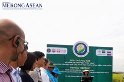 Canh tác lúa phát thải thấp ghi nhận kết quả tích cực tại Đồng bằng sông Hồng