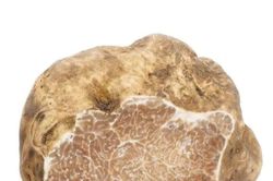 Loài nấm được ví như 'kim cương trắng', giá hàng chục nghìn USD mỗi ký