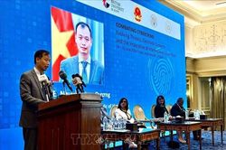 Ai Cập thúc đẩy triển khai Công ước Hà Nội về chống tội phạm mạng