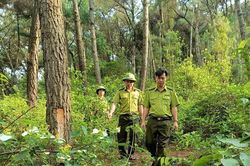Căng sức giữ rừng m&ugrave;a nắng n&oacute;ng