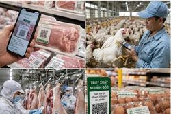 TP.HCM triển khai hệ thống truy xuất nguồn gốc thịt heo, gia cầm và trứng giai đoạn 2026-2030