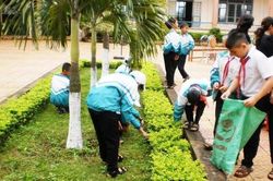Môi trường xanh - Cốt lõi cho sự phát triển hài hòa