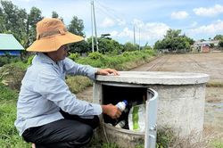 Giữ màu xanh cho đồng ruộng, bảo vệ môi trường sống