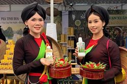 Trầu cau: Khi di sản truyền thống được 'giải mã' bằng công nghệ hiện đại