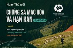 Ngày Thế giới chống sa mạc hóa và hạn hán: Nhận diện, trân trọng và phục hồi
