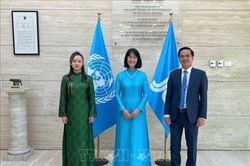 IFAD đ&aacute;nh gi&aacute; cao vai tr&ograve; chủ động, c&oacute; tr&aacute;ch nhiệm của Việt Nam