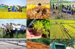 Cải c&aacute;ch thủ tục n&ocirc;ng nghiệp v&agrave; m&ocirc;i trường, khơi th&ocirc;ng nguồn lực ph&aacute;t triển