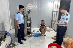Hà Nội tăng cường giám sát thương mại điện tử, phát hiện cơ sở sản xuất thực phẩm giả quy mô lớn