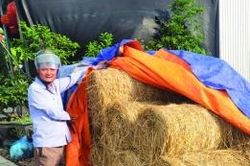 Ph&aacute;t triển kinh tế n&ocirc;ng nghiệp xanh, hữu cơ, tuần ho&agrave;n