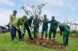 Chú trọng giảm phát thải nhà kính