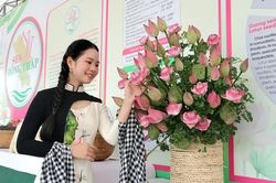 Khi sen trở thành 'đại sứ' giúp địa phương vươn tầm quốc tế