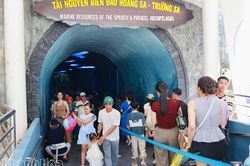 Camera gián đoạn ghi hình tại Bảo tàng Hải dương học là do mất điện