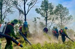 Hàng trăm người xuyên đêm nỗ lực cứu rừng
