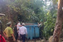 Đặc khu Cồn Cỏ tạm dừng cắm trại, dã ngoại trong và ven rừng để phòng cháy rừng