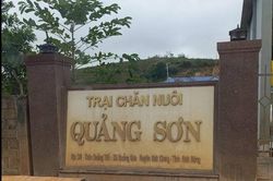Lâm Đồng: Xã Quảng Sơn liên tiếp ra văn bản đôn đốc xử lý trại heo bị phản ánh gây ô nhiễm