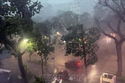 Đề ph&ograve;ng c&aacute;c h&igrave;nh th&aacute;i thời tiết nguy hiểm tr&ecirc;n đất liền v&agrave; tr&ecirc;n biển