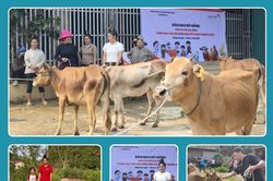 Tiếp sức để hộ ngh&egrave;o vươn l&ecirc;n