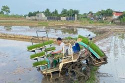 Hợp tác xã Liệp Tuyết chung sức đẩy mạnh phát triển sản xuất nông nghiệp ở địa phương