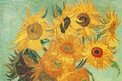 Vì sao hoa hướng dương trở thành biểu tượng của Van Gogh?