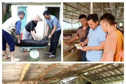 Nâng cao ý thức, ngăn chặn nguy cơ lây lan dịch bệnh