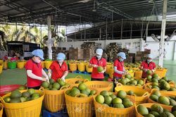 Gia hạn thuế và tiền thuê đất: Tăng dư địa dòng tiền, tiếp thêm động lực cho doanh nghiệp