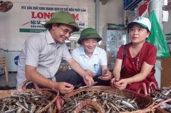 Để hợp t&aacute;c x&atilde; bứt ph&aacute; trong nền kinh tế hiện đại-B&agrave;i 1: M&ocirc; h&igrave;nh truyền thống c&ograve;n ngại đổi mới