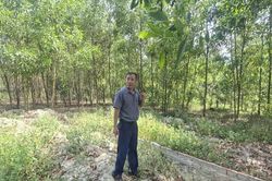 Cựu cán bộ xã xót xa khi mộ con bị di dời: Đà Nẵng giao thanh tra vào cuộc
