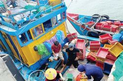 Hạ tầng cảng cá - Chìa khóa gỡ 'thẻ vàng' IUU ở Quảng Trị