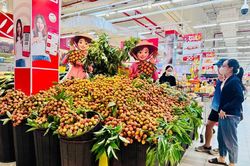 Doanh thu bán lẻ hàng hóa và dịch vụ tiêu dùng duy trì tốc độ tăng khá cao
