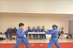 Lan tỏa văn h&oacute;a d&acirc;n tộc qua v&otilde; cổ truyền Vovinam tại Ph&aacute;p