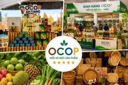 Ho&agrave;n thiện hệ thống ti&ecirc;u ch&iacute; OCOP: N&acirc;ng cao gi&aacute; trị v&agrave; khai th&aacute;c hiệu quả kinh tế n&ocirc;ng th&ocirc;n