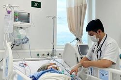 Bác sĩ cảnh báo sai lầm chết người khi tự xử lý rắn độc cắn