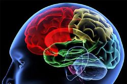 Công nghệ mới hé lộ 'thủ phạm bí ẩn' gây bệnh Alzheimer từ giai đoạn sớm