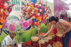 Nâng cao năng lực thương mại điện tử cho hợp tác xã, hộ kinh doanh tại Huế