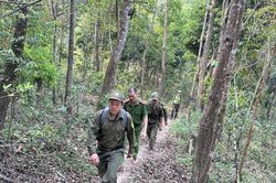 Giữ m&agrave;u xanh những c&aacute;nh rừng gi&aacute;p ranh