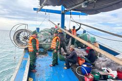 Bộ đội Biên phòng thành phố bắt giữ tàu cá vi phạm vùng khai thác