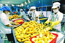 N&ocirc;ng sản Việt chuyển từ lượng sang chất