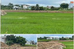 Khoảng trống pháp lý và thực tiễn công tác quản lý đất lúa bị san lấp ở xã Đam Rông 3 (Lâm Đồng)