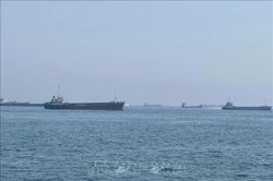Lưu lượng tàu dầu qua Hormuz xuống đáy 5 tuần