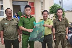 Tiếp nhận cá thể chim cổ rắn quý, hiếm