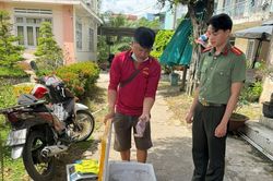 Đồng Tháp phát hiện đối tượng mua bán trái phép 56 cá thể chim hoang dã
