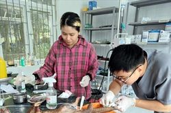 Quảng Trị cứu hộ 6 cá thể động vật hoang dã quý hiếm