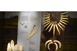 Bí mật từ ngôi mộ hơn 4.000 năm tuổi gần Stonehenge được hé lộ nhờ phân tích ADN