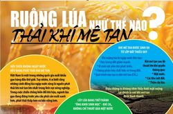 Lý do việc canh tác lúa nước phát thải nhiều khí mê tan
